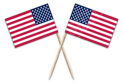 Mini America Toothpick Flags P - Woodworking Usa บทวิจารณ์และราคา