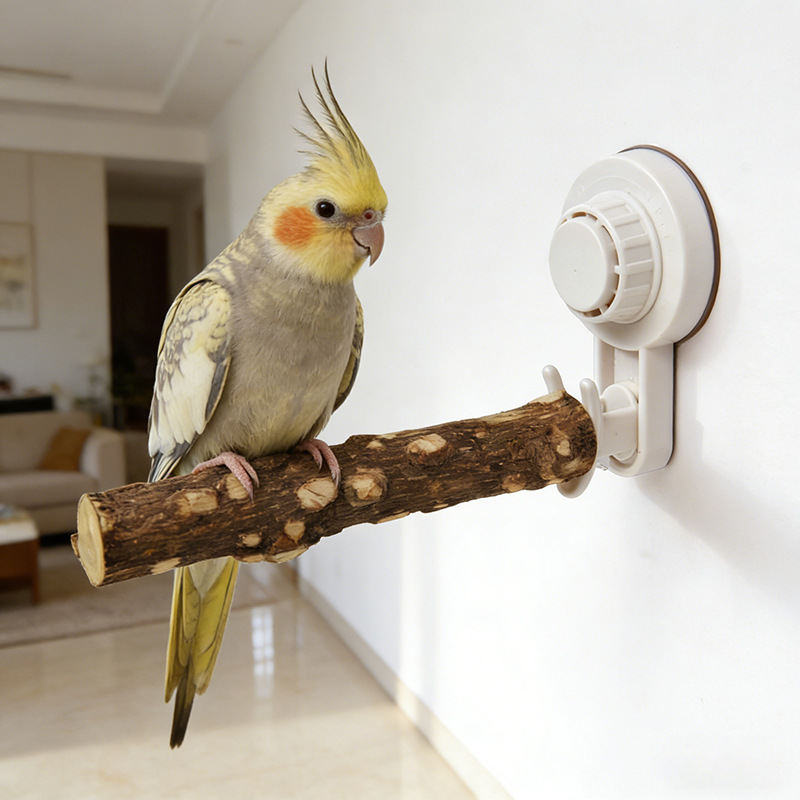 Parrot Stand with Suction Cup  - Woodworking Joint บทวิจารณ์และราคา