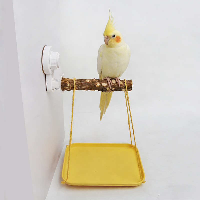 Parrot Stand with Suction Cup  - Woodworking Joint บทวิจารณ์และราคา