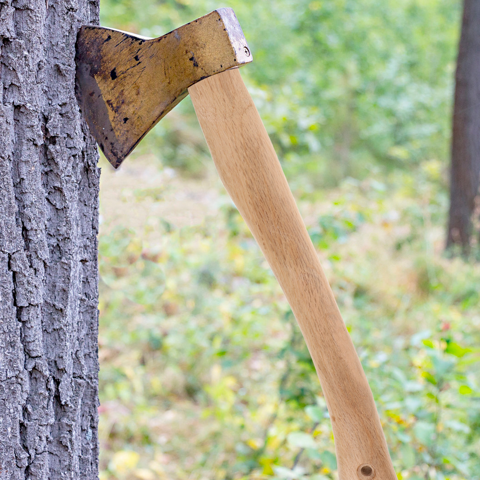 Premium Grade Hardwood Axe Han - Woodworking Terms บทวิจารณ์และราคา